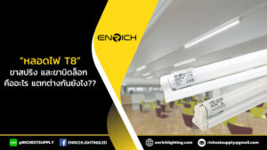 หลอดไฟ-T8-ขาสปริง-และขาบิดล็อก-คืออะไรและแตกต่างกันอย่างไร