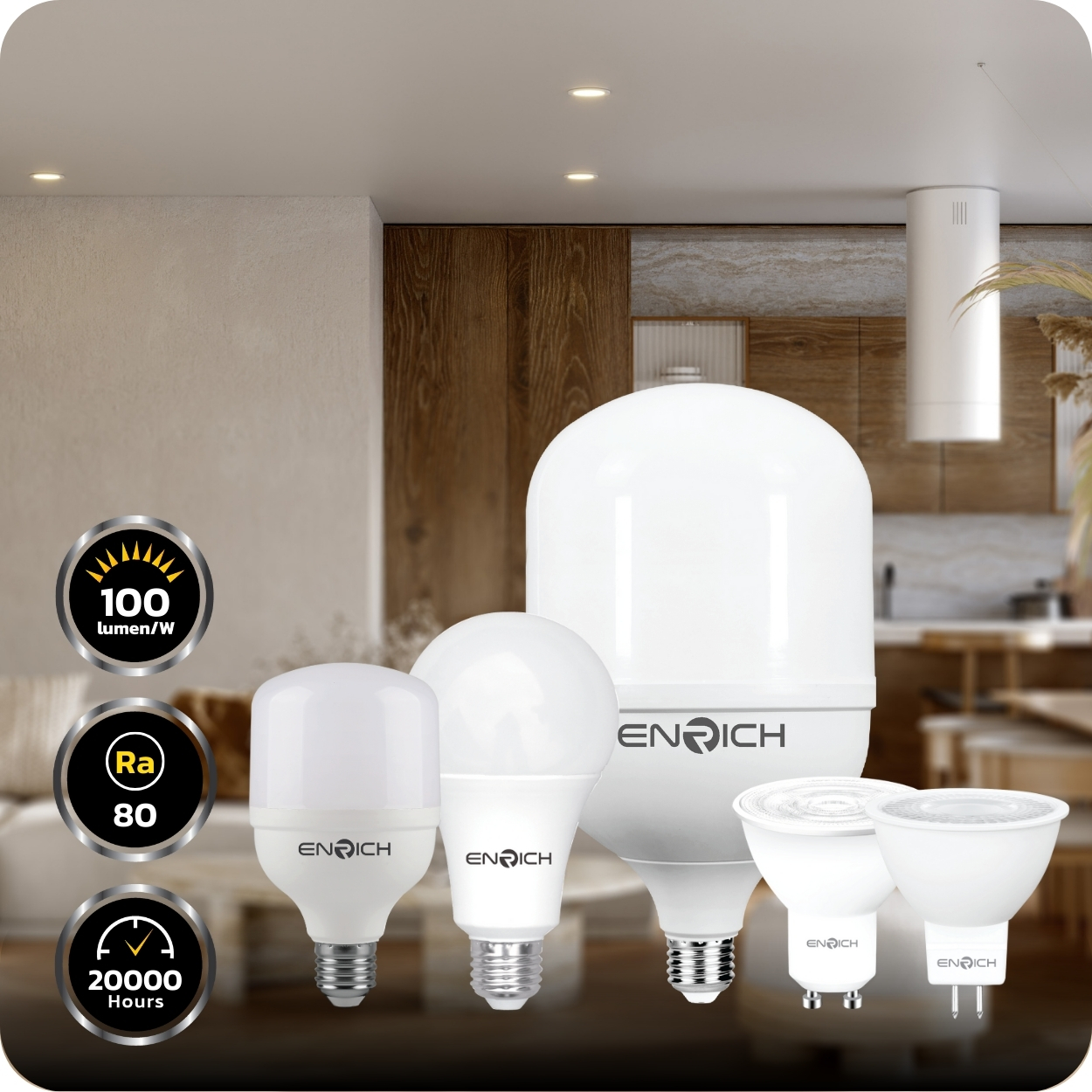 banner-enrich ledbulb-01