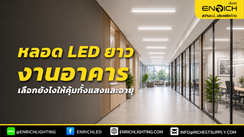 หลอด LED ยาวงานอาคาร เลือกจากลูเมนและอายุการใช้งาน